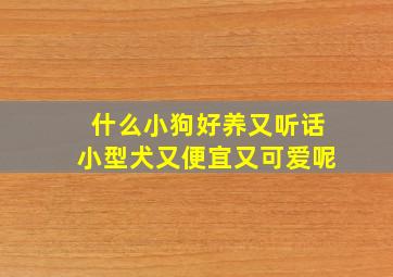 什么小狗好养又听话小型犬又便宜又可爱呢