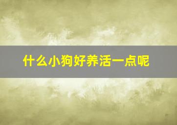 什么小狗好养活一点呢