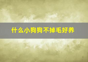 什么小狗狗不掉毛好养