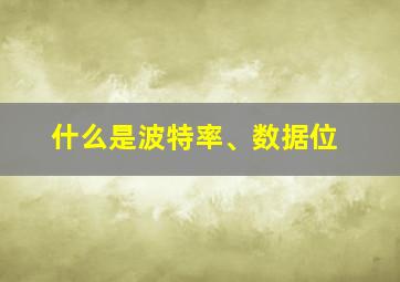 什么是波特率、数据位