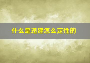 什么是违建怎么定性的