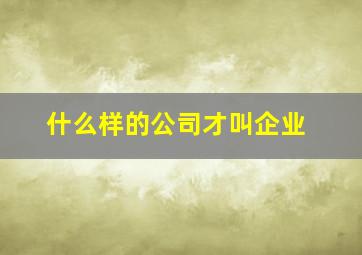 什么样的公司才叫企业