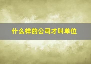 什么样的公司才叫单位