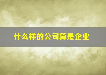 什么样的公司算是企业