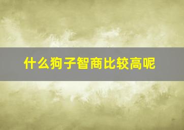 什么狗子智商比较高呢