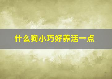 什么狗小巧好养活一点