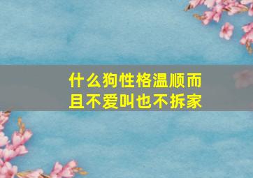 什么狗性格温顺而且不爱叫也不拆家