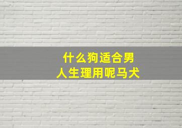 什么狗适合男人生理用呢马犬