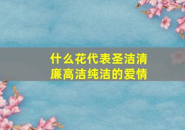 什么花代表圣洁清廉高洁纯洁的爱情