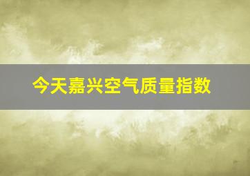 今天嘉兴空气质量指数