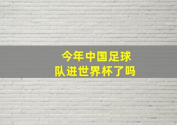 今年中国足球队进世界杯了吗