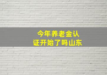 今年养老金认证开始了吗山东