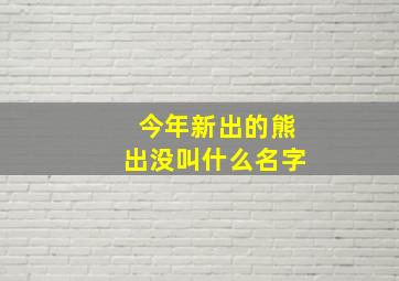 今年新出的熊出没叫什么名字