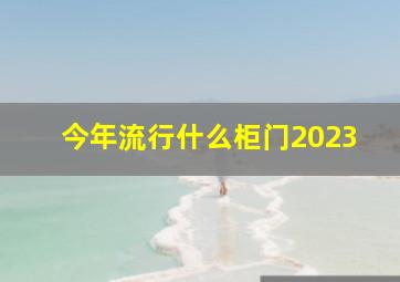 今年流行什么柜门2023