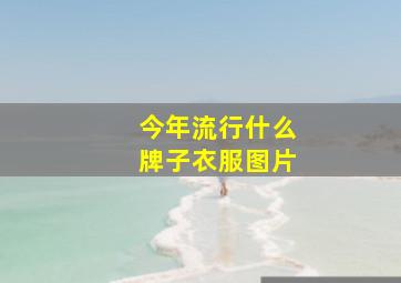 今年流行什么牌子衣服图片