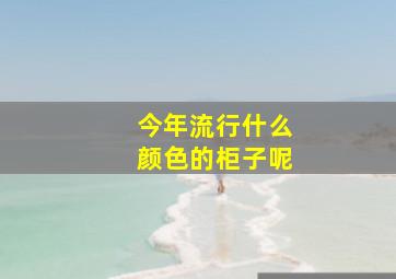 今年流行什么颜色的柜子呢