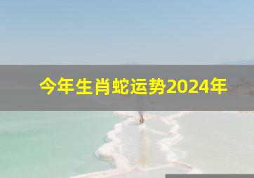 今年生肖蛇运势2024年