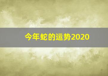 今年蛇的运势2020