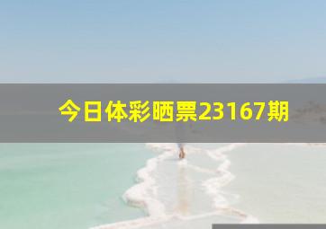 今日体彩晒票23167期