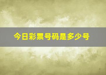 今日彩票号码是多少号