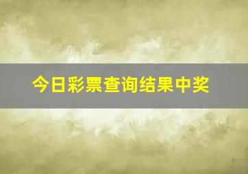 今日彩票查询结果中奖