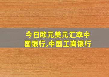 今日欧元美元汇率中国银行,中国工商银行