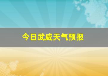 今日武威天气预报