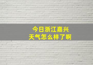 今日浙江嘉兴天气怎么样了啊