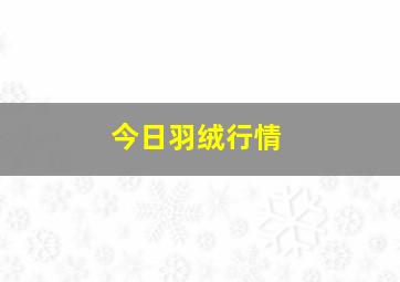 今日羽绒行情