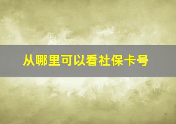 从哪里可以看社保卡号