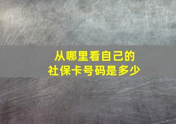 从哪里看自己的社保卡号码是多少