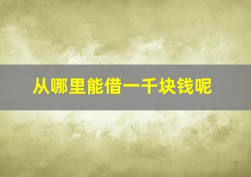 从哪里能借一千块钱呢