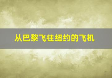 从巴黎飞往纽约的飞机