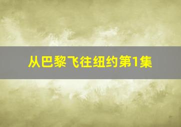 从巴黎飞往纽约第1集