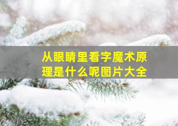 从眼睛里看字魔术原理是什么呢图片大全