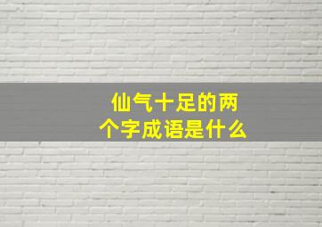 仙气十足的两个字成语是什么