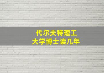 代尔夫特理工大学博士读几年