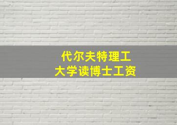 代尔夫特理工大学读博士工资