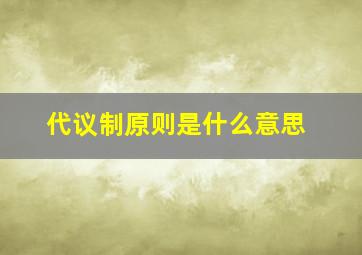 代议制原则是什么意思