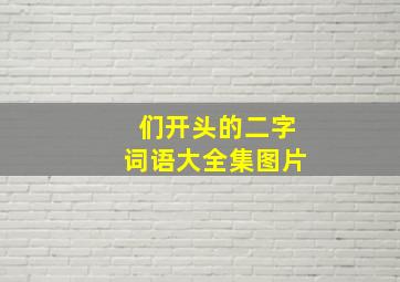 们开头的二字词语大全集图片