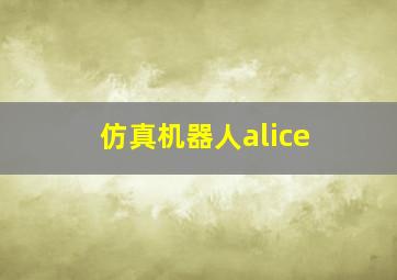 仿真机器人alice