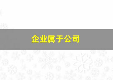 企业属于公司