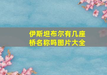 伊斯坦布尔有几座桥名称吗图片大全