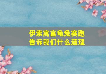 伊索寓言龟兔赛跑告诉我们什么道理