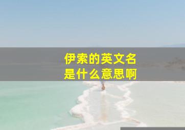 伊索的英文名是什么意思啊