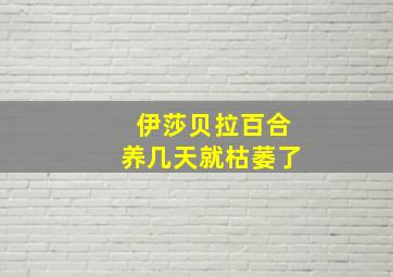 伊莎贝拉百合养几天就枯萎了