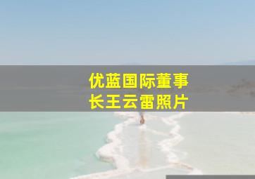 优蓝国际董事长王云雷照片