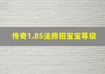 传奇1.85法师招宝宝等级