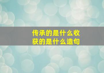 传承的是什么收获的是什么造句