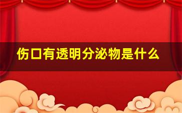 伤口有透明分泌物是什么